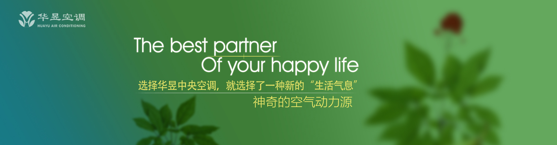 大喊大叫网